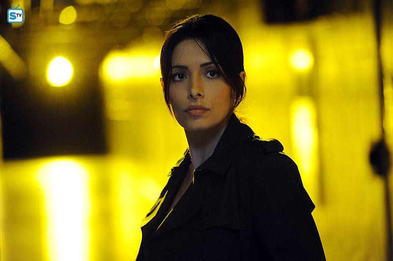 Sarah Shahi Joins The Cast Of Dcs “black Adam” The Cultured Nerd 