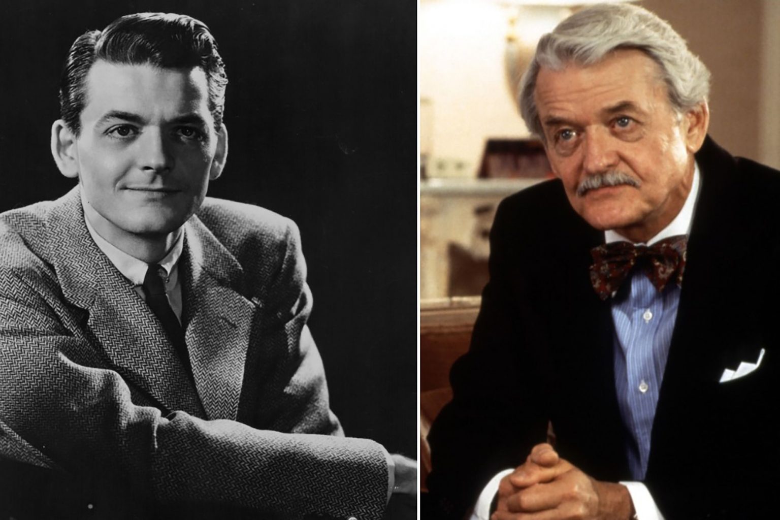 Hal Holbrook, Performer Extraordinaire Passes Away at 95 – The Cultured Nerd