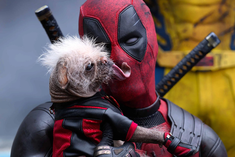 Deadpool & Wolverine is the most recent addition to Marvel Cinematic Timeline